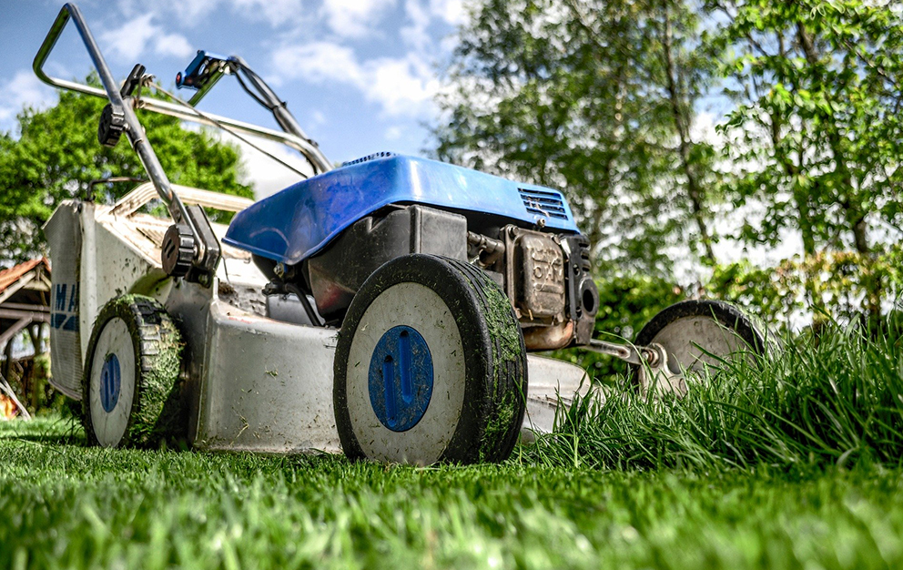 Servicio de jardinería con mantenimiento de jardines, segado de césped, limpieza, riegos.