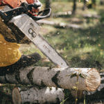 Servicio de jardinería con tala de árboles, poda en altura y poda de setos ornamentales.