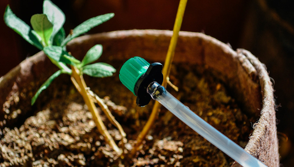 Instalación de riego automático por goteo para zonas de árboles, rocallas, macetas.